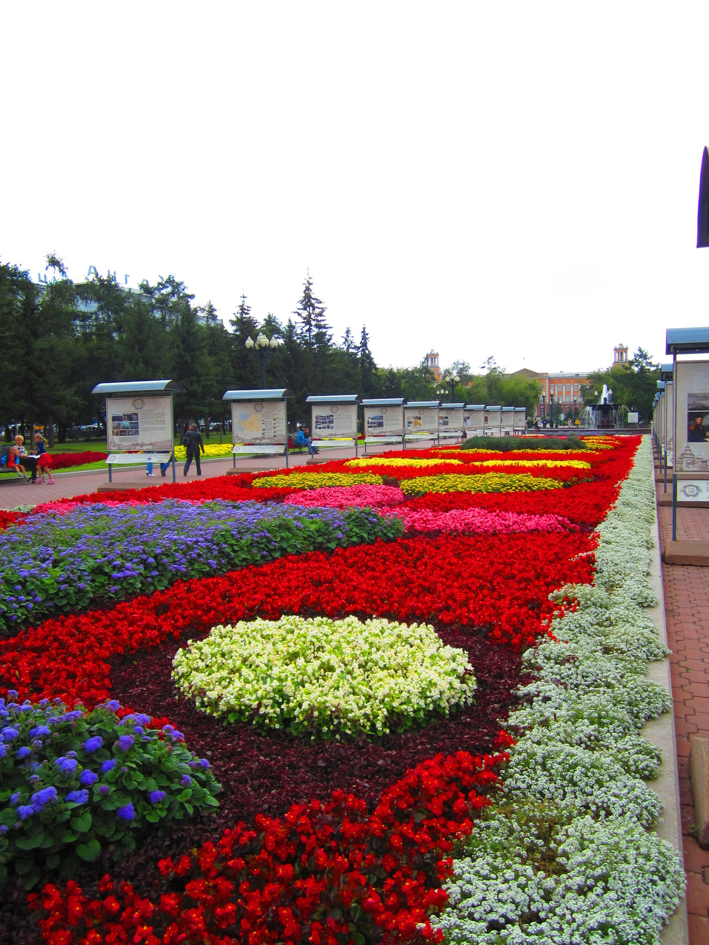 Blumen