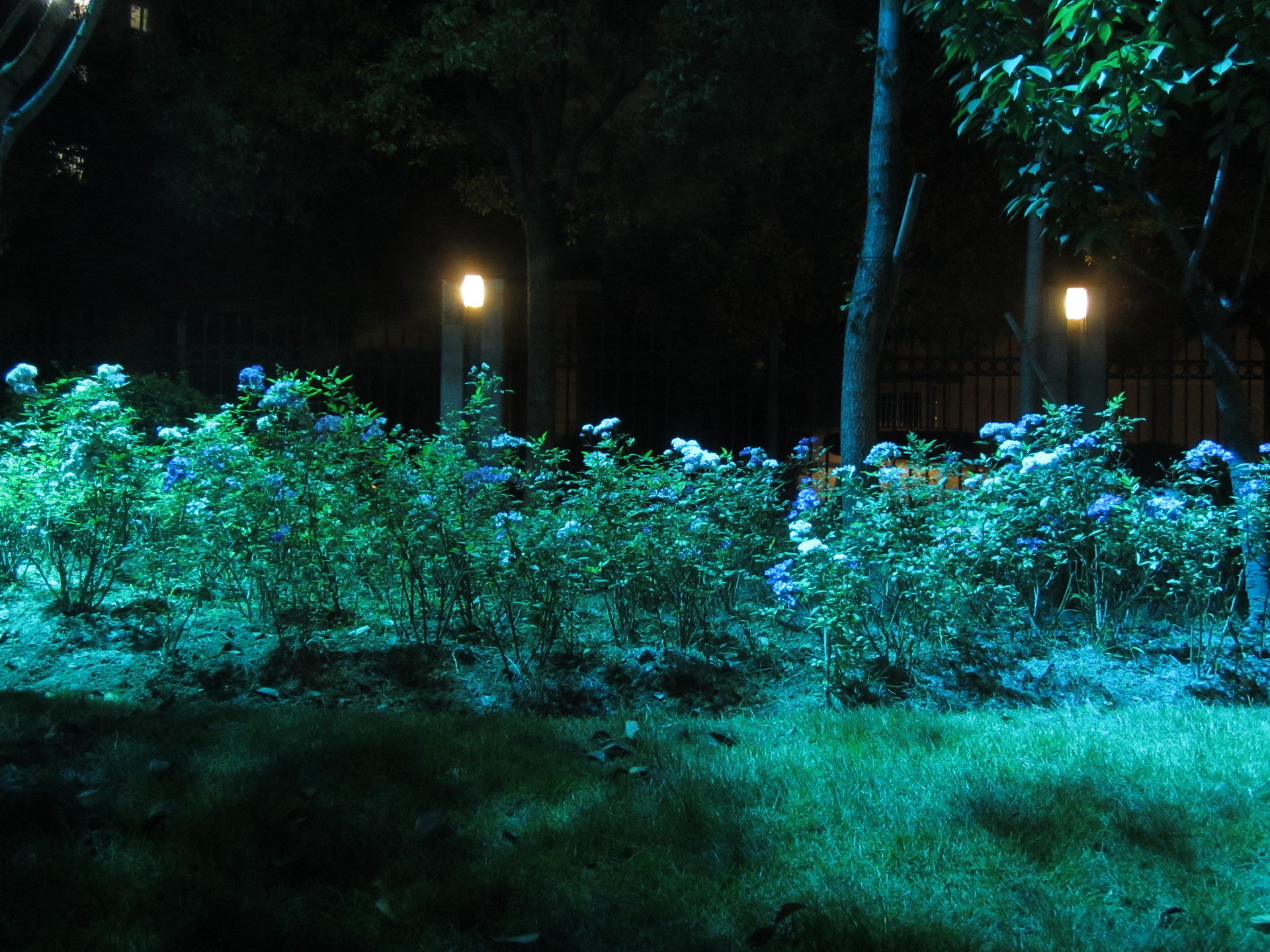 Park