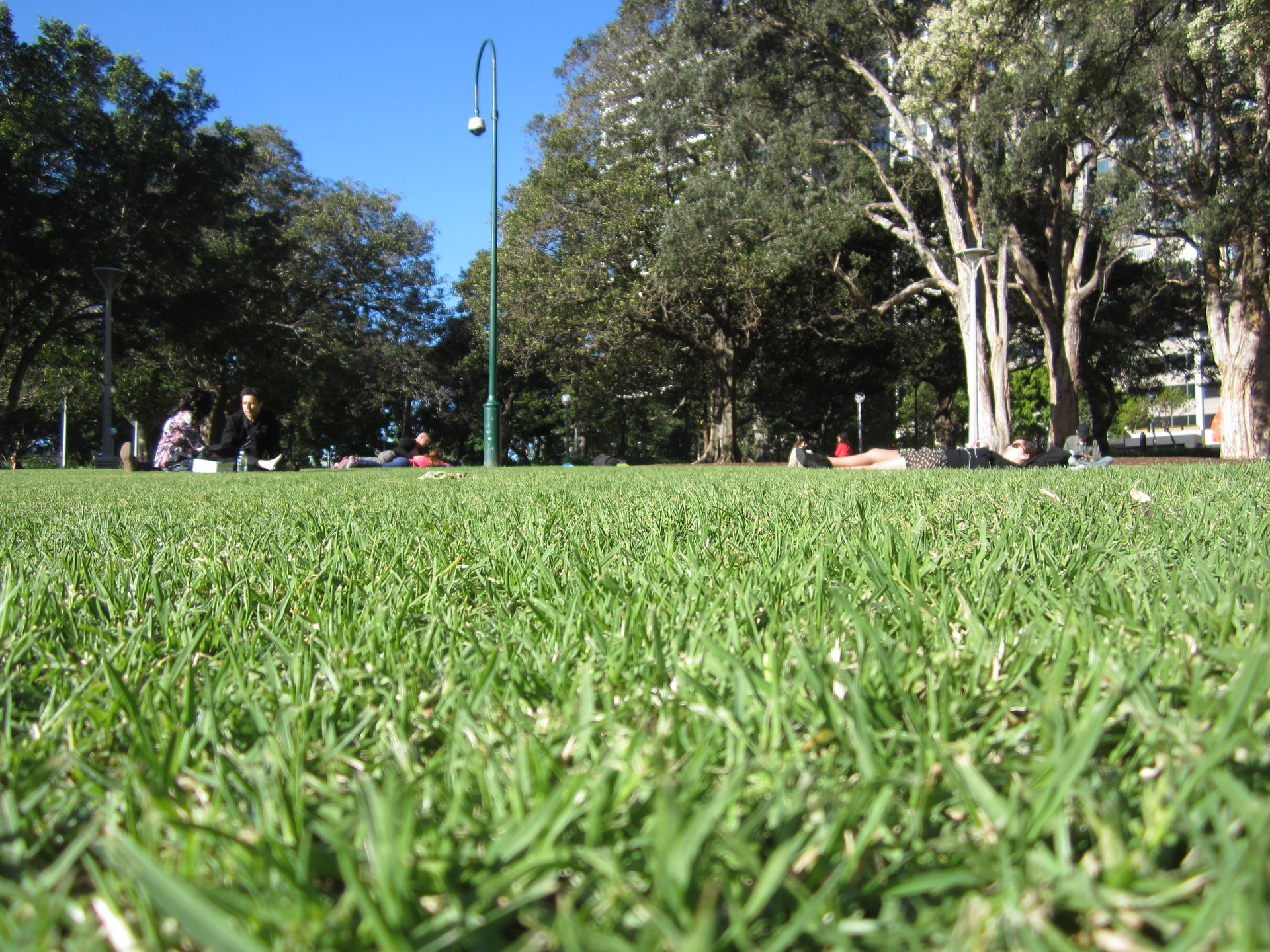 Hyde-Park