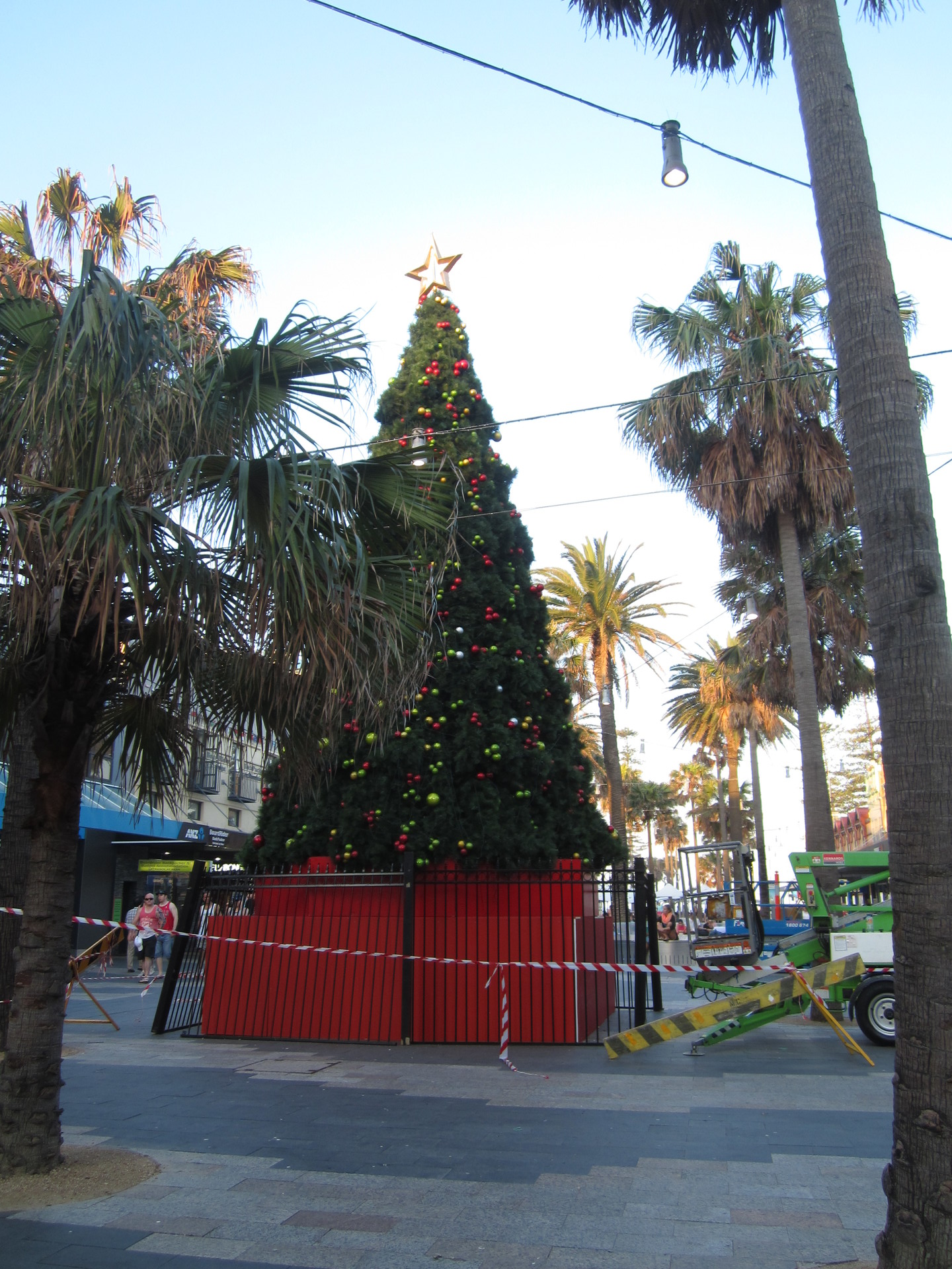 Weihnachtsbaum