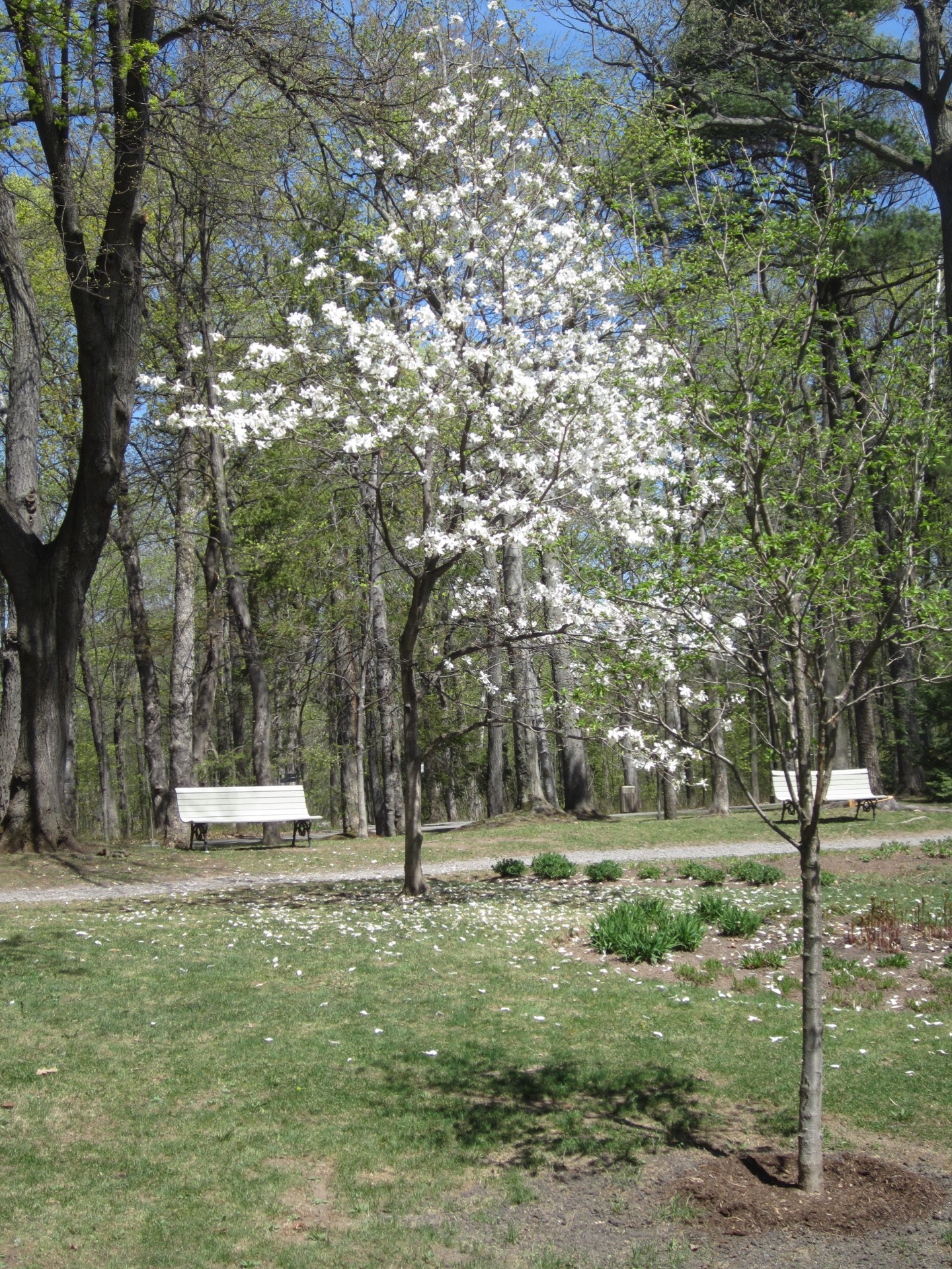 Frühling