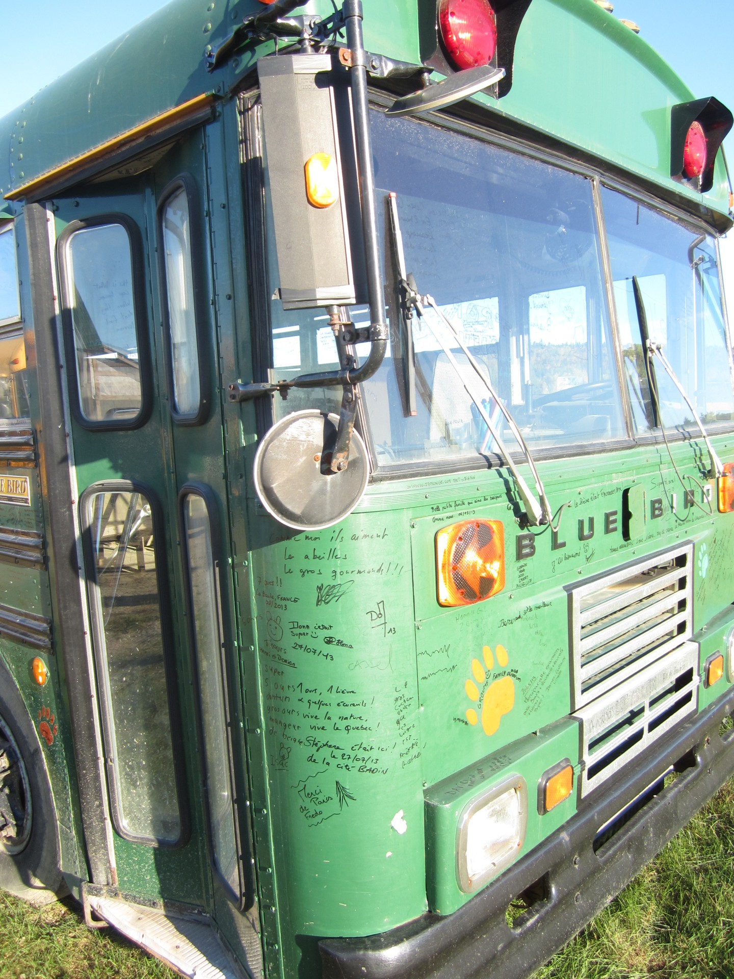 Bärenbus