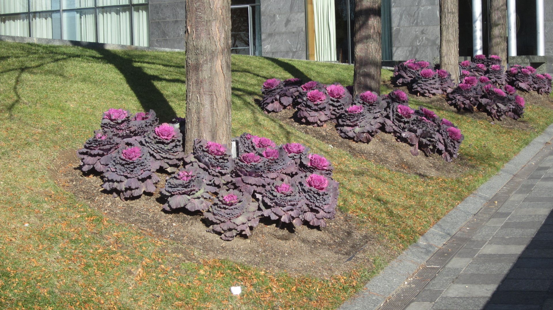 Blumen
