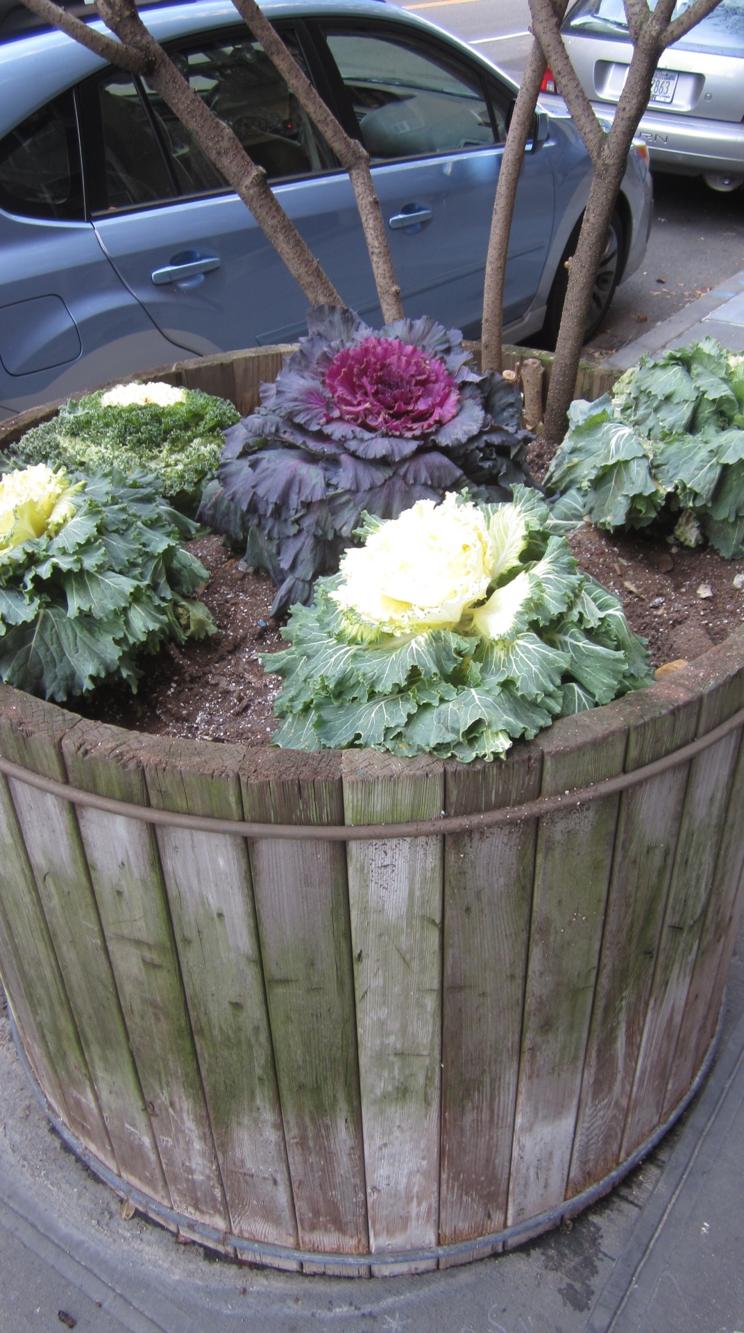 Blumen