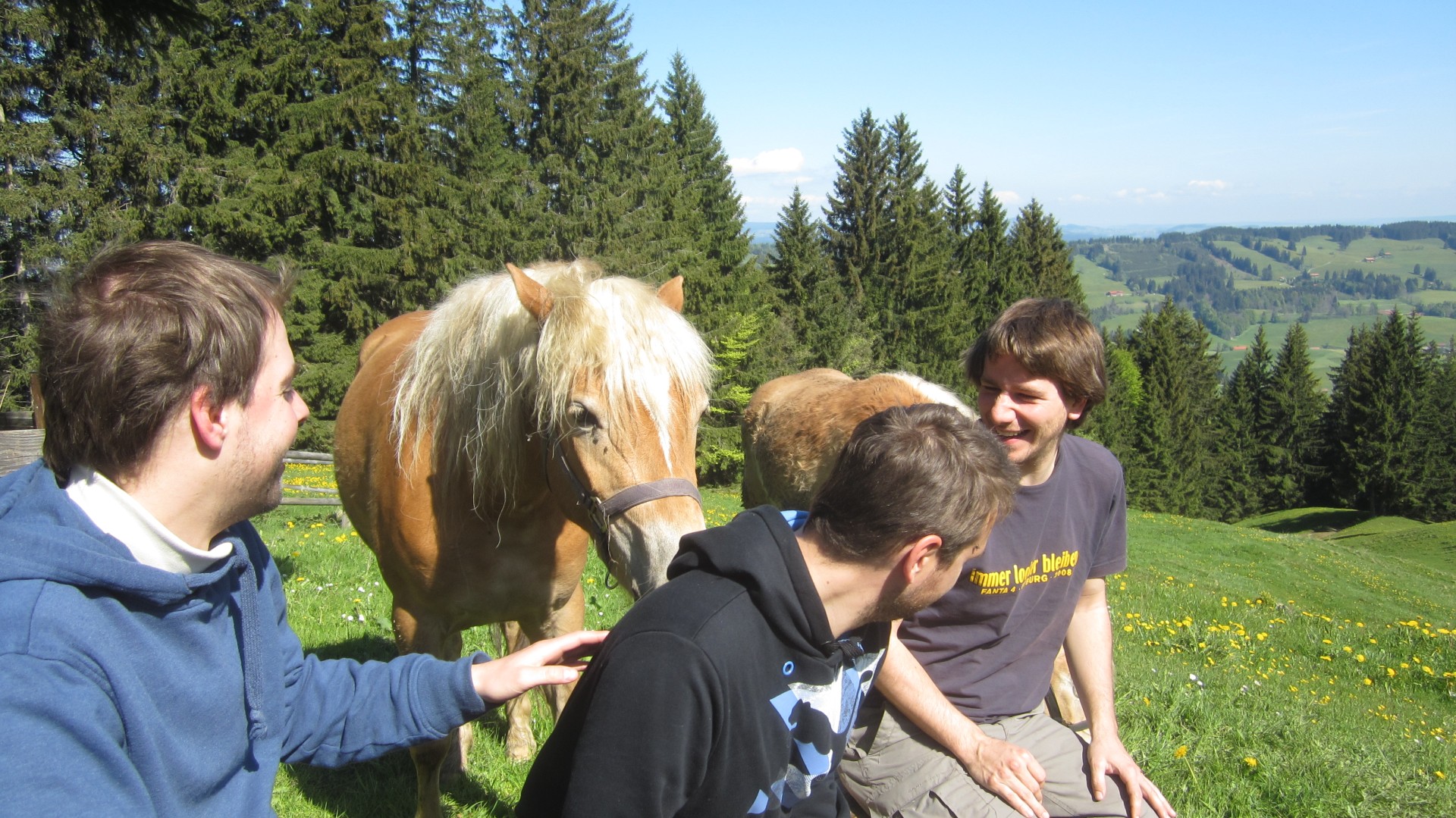 Pferd beim Grillen