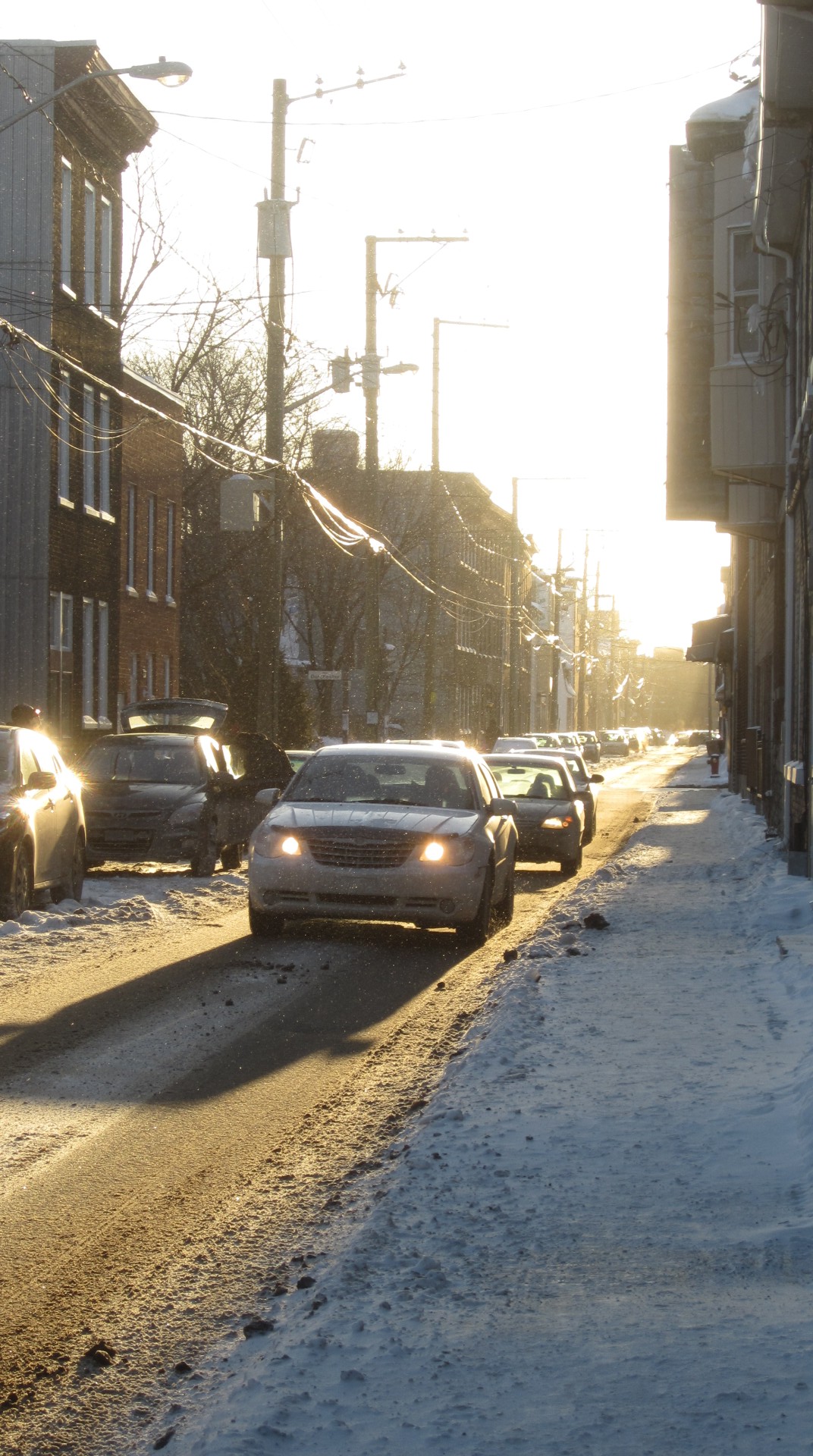 Goldener Wintertag