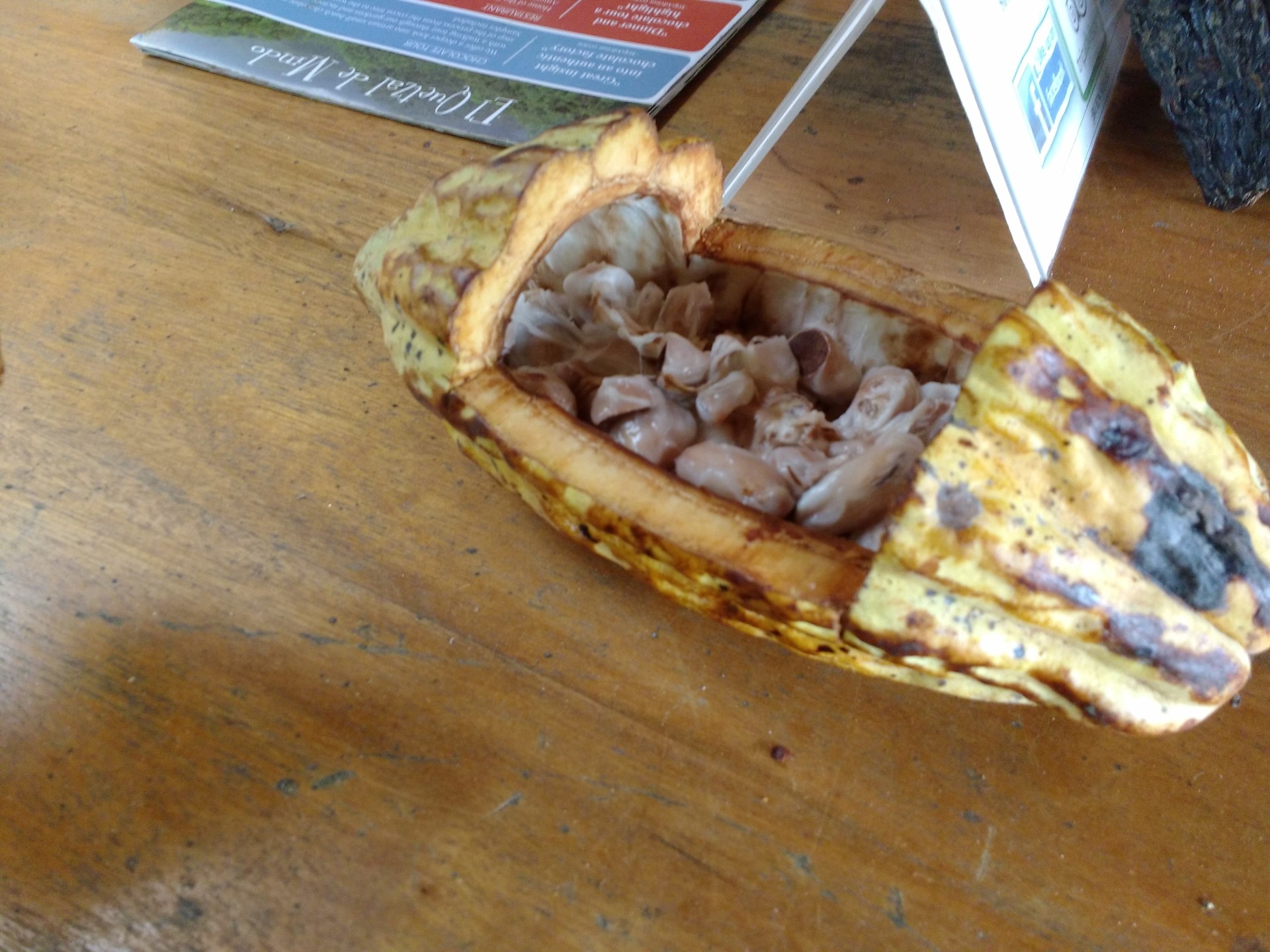 Schokofrucht