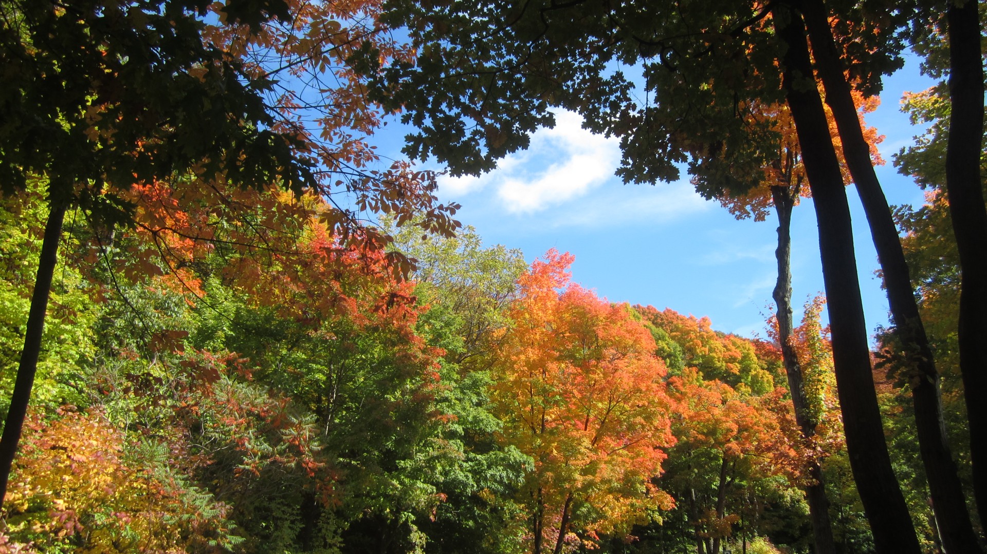 Herbst