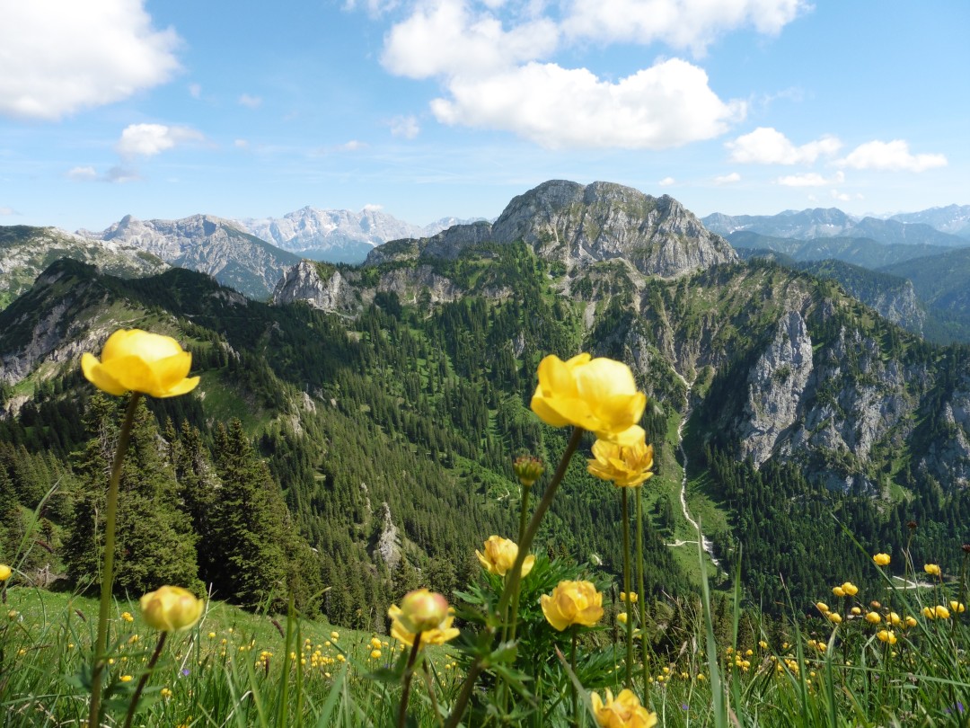 Natur