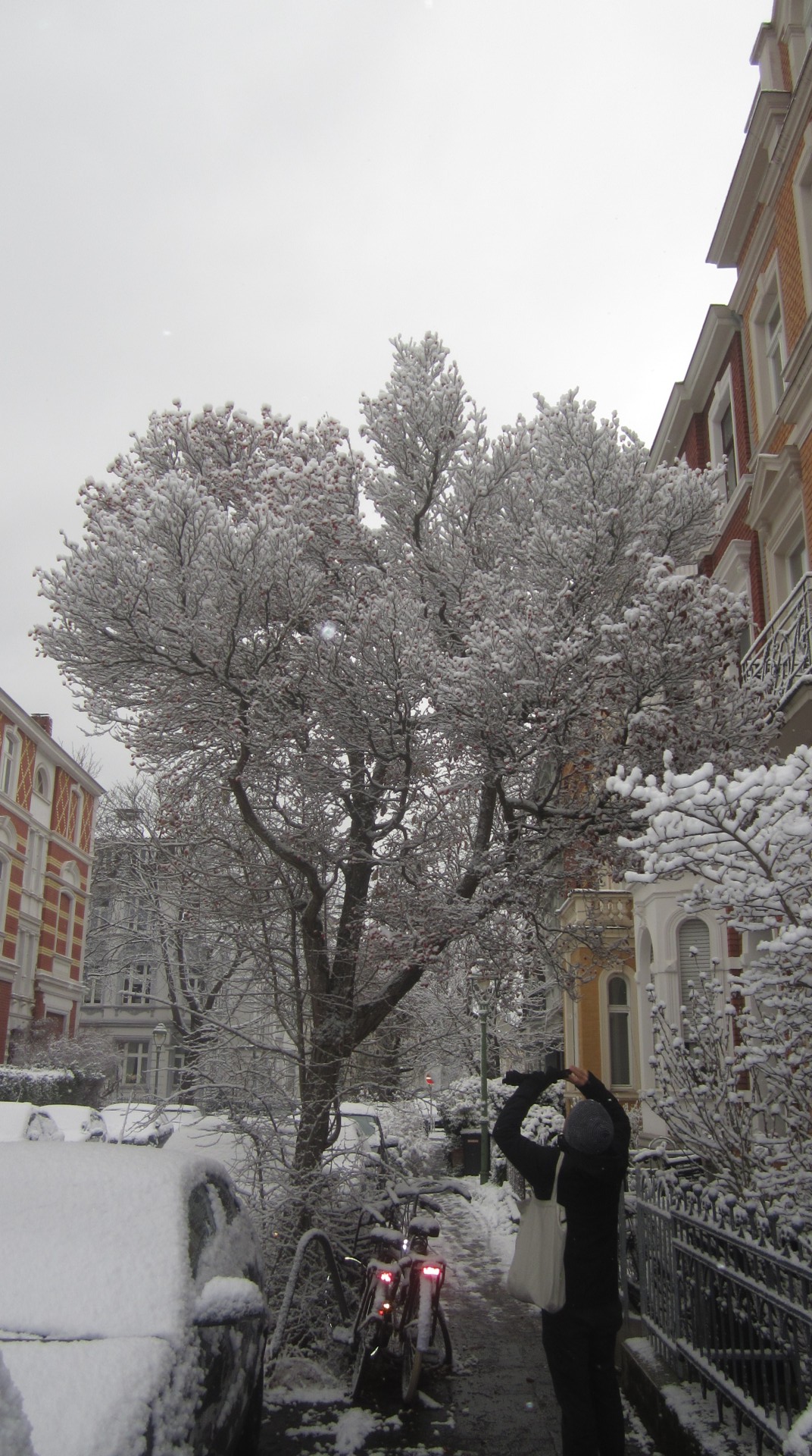 Winter