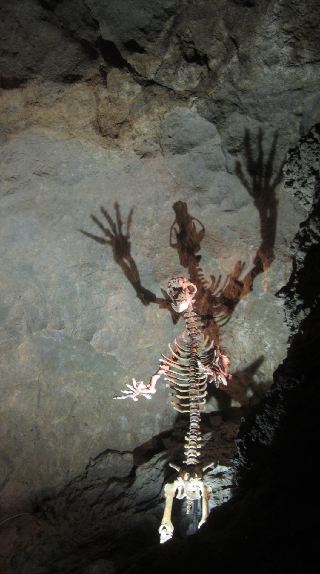 Höhle